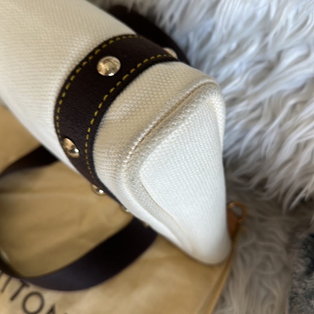 Louis Vuitton Resort Mini Canvas Bag - Picture 11 of 12